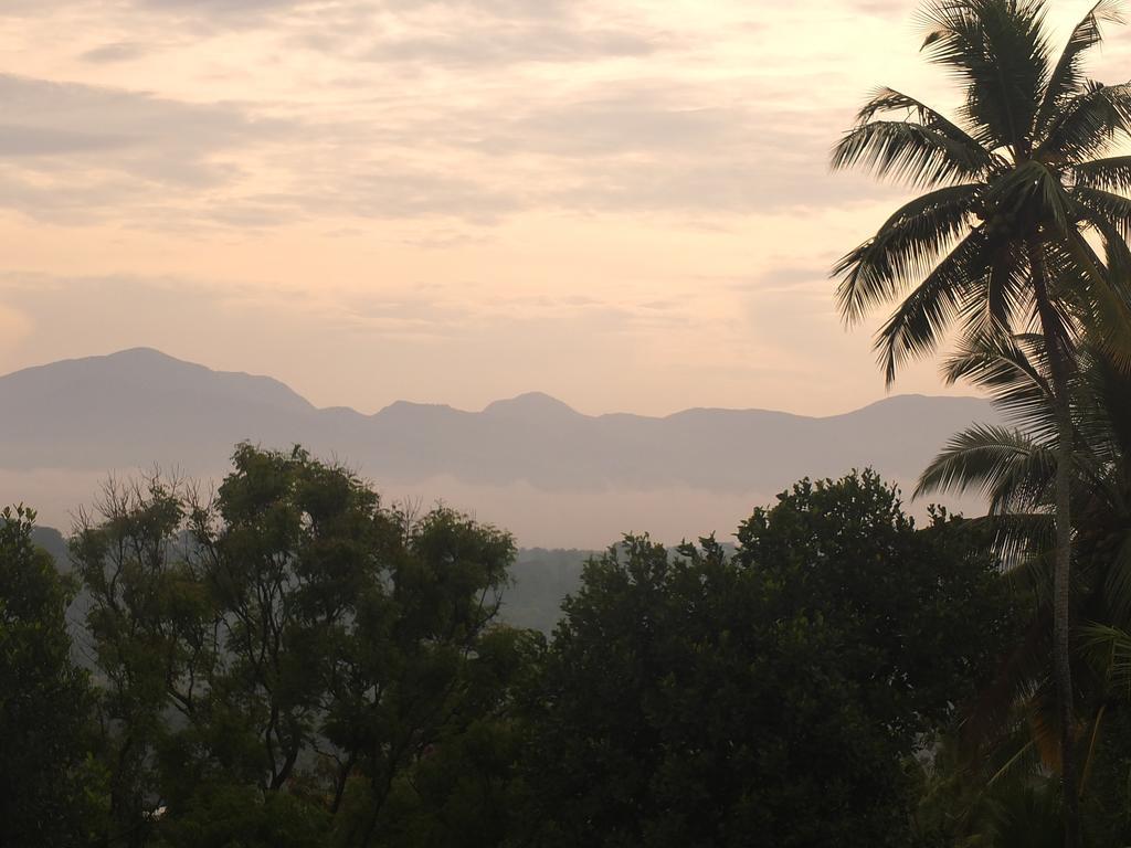 Jasmine Homestay * كاندي