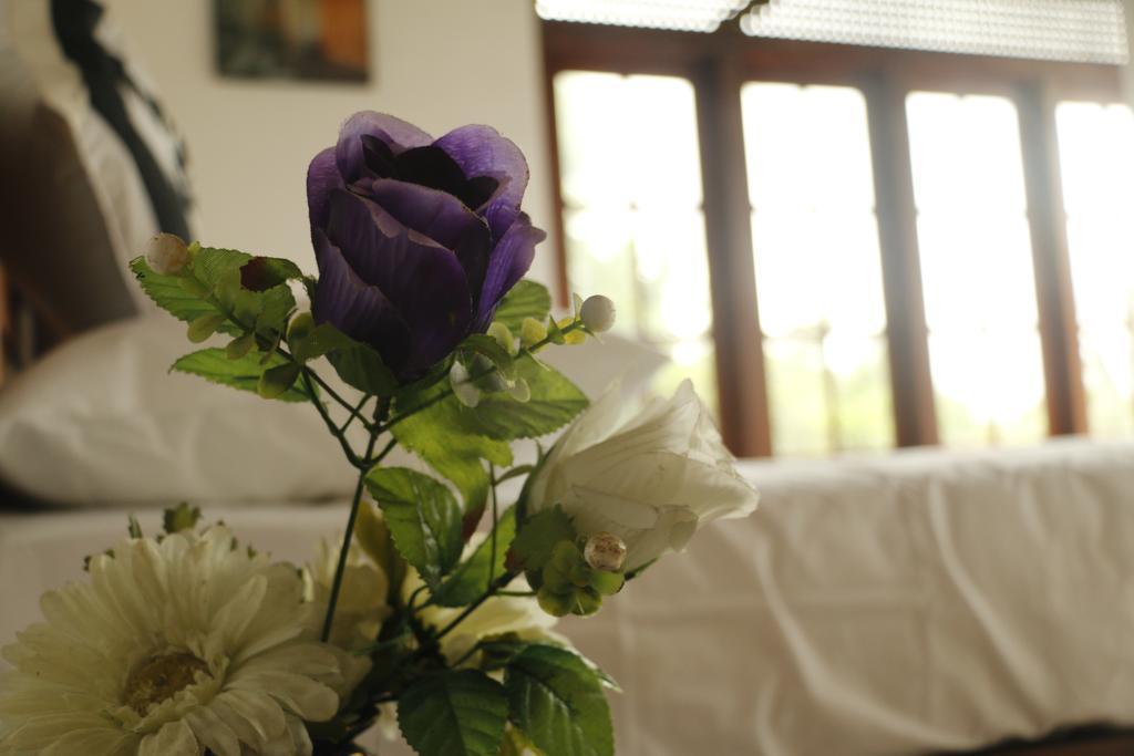 بيت ضيافة Jasmine Homestay