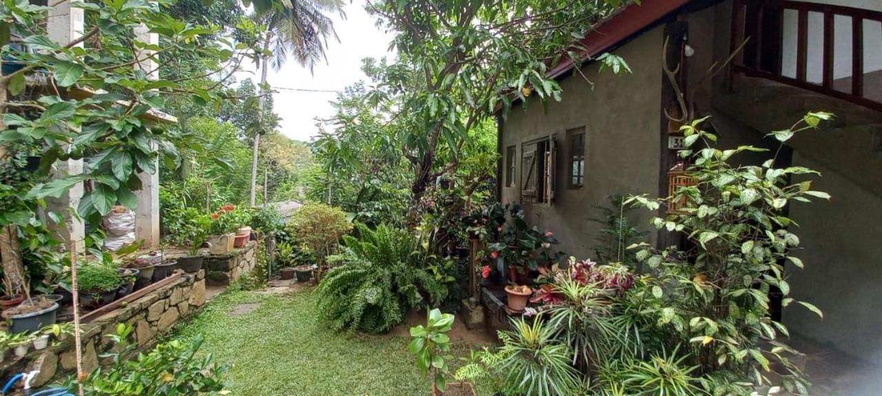 بيت ضيافة Jasmine Homestay كاندي
