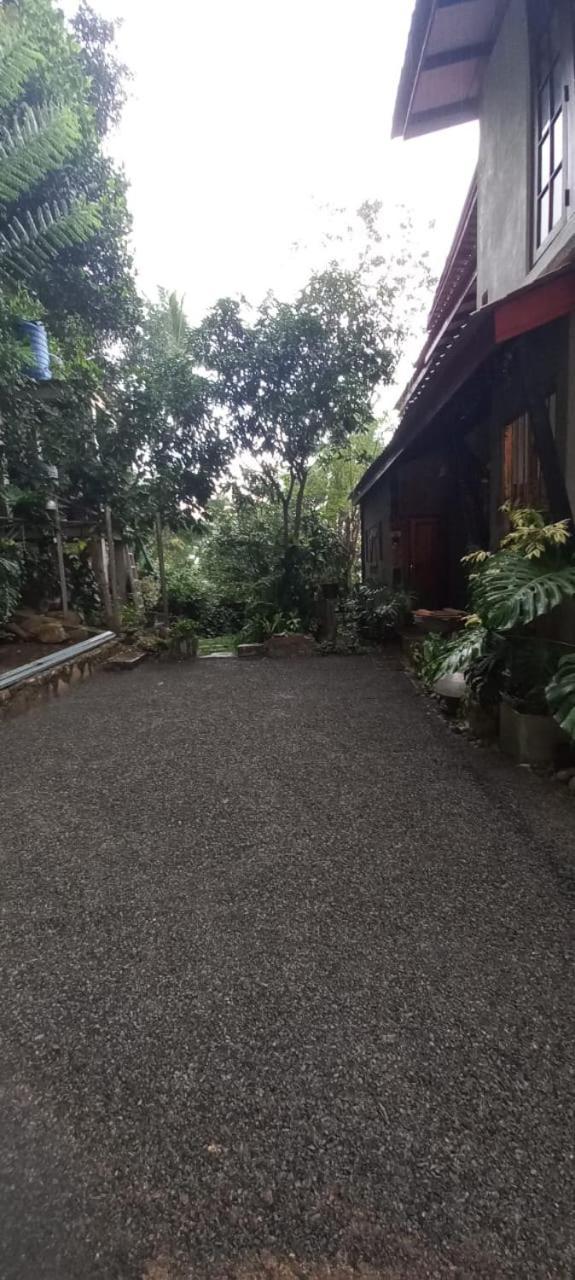 Jasmine Homestay بيت ضيافة