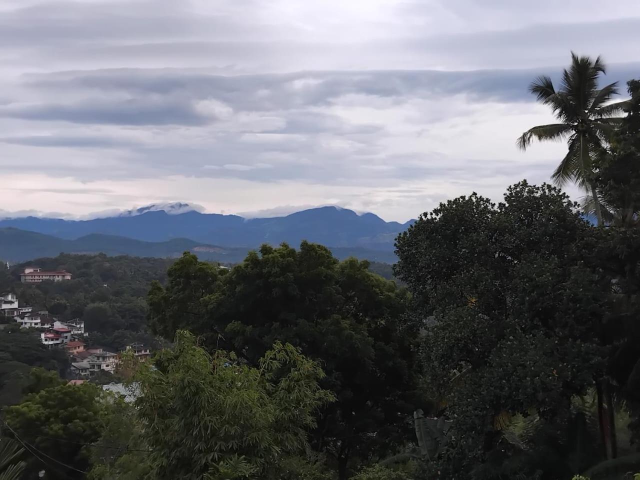 Jasmine Homestay