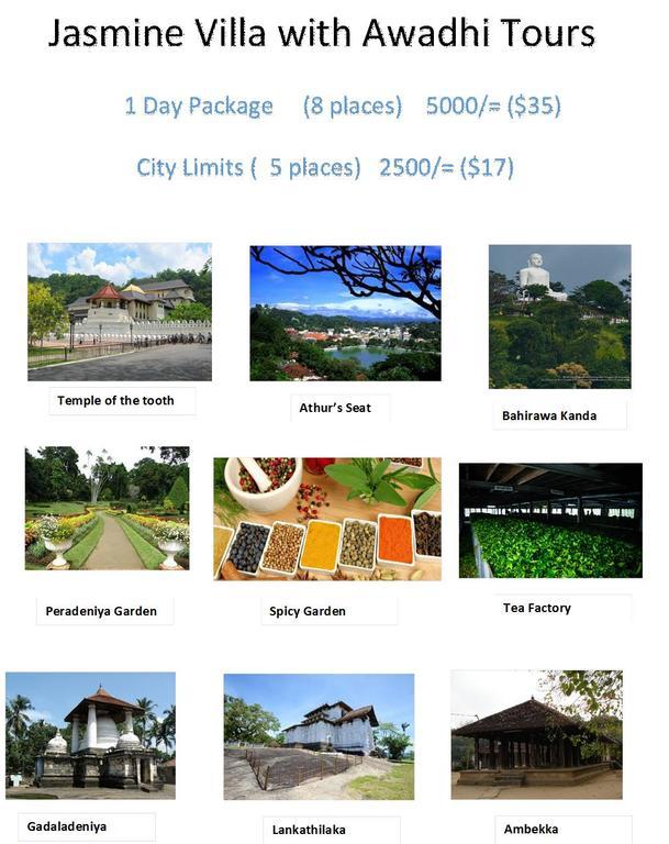 Jasmine Homestay *